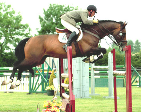 Showjumping Riders